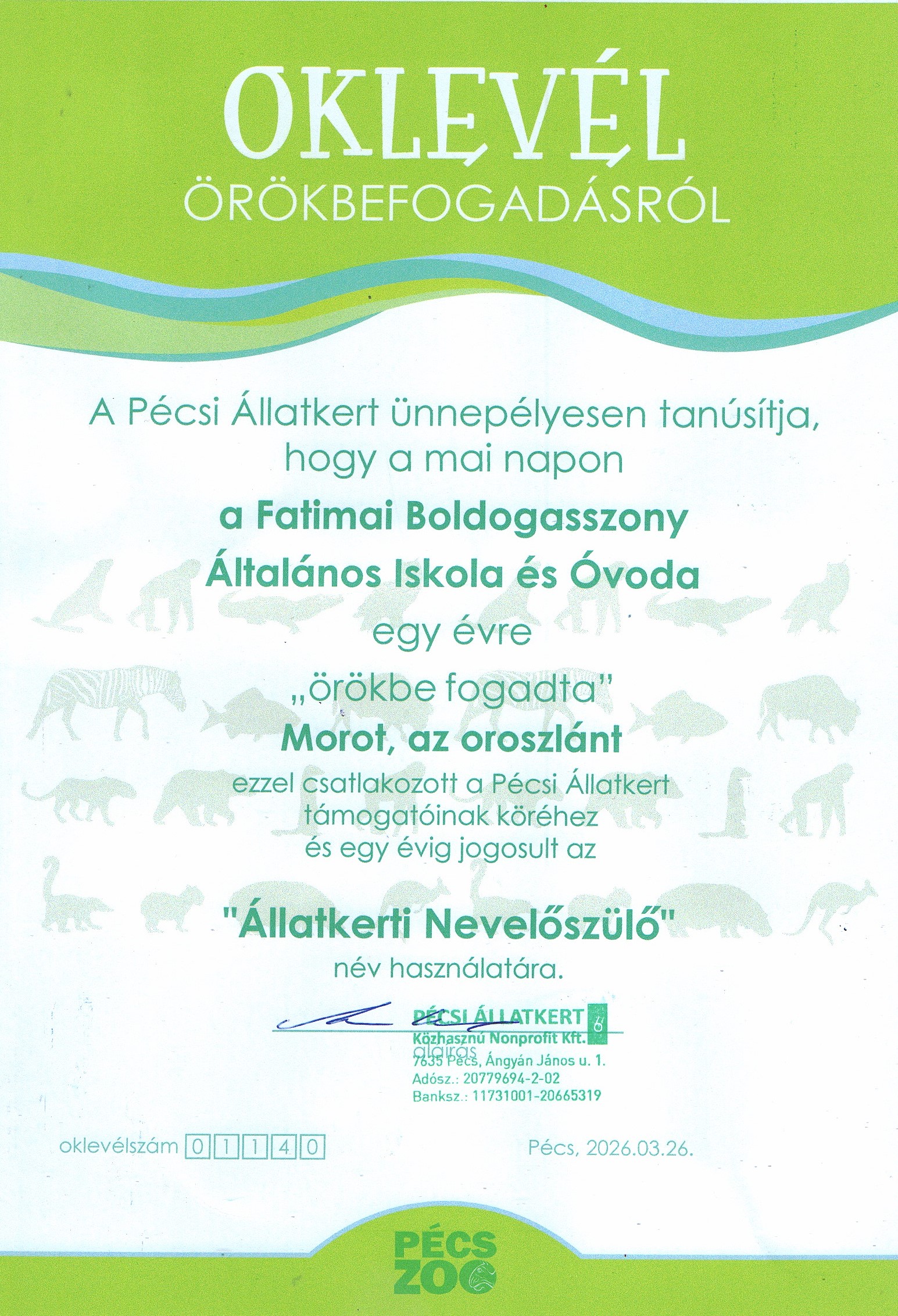 Állatkerti Nevelőszülők lettünk, avagy ide nekünk az oroszlánt is